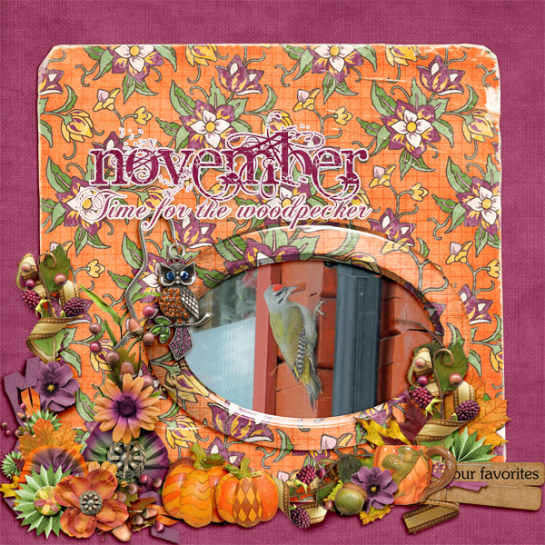 November8