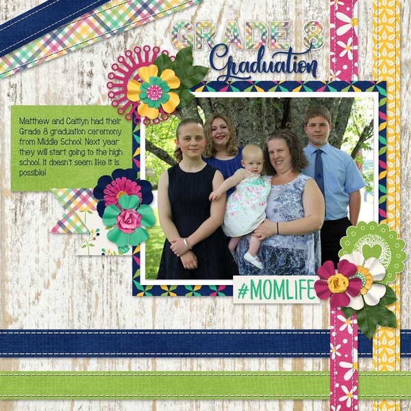 NSD FWP - #Momlife