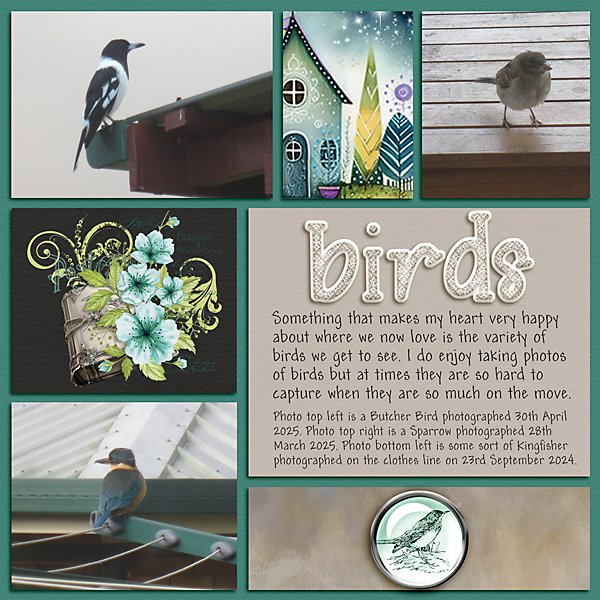 NSD_Pocket Page - Birds