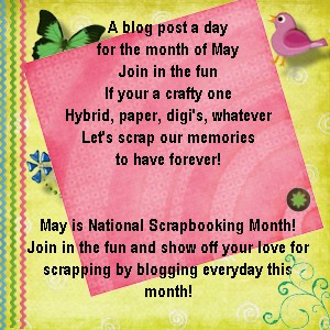 NSM flyer