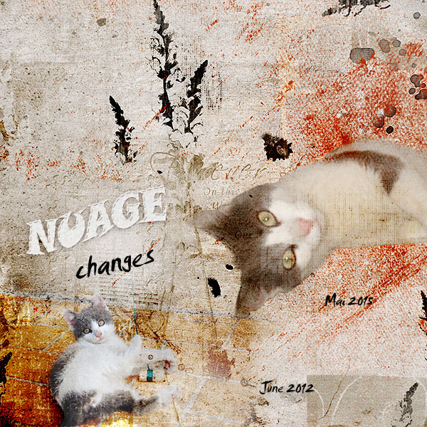 Nuage changes