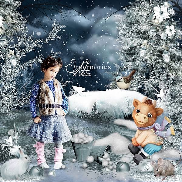 Nuit d hiver