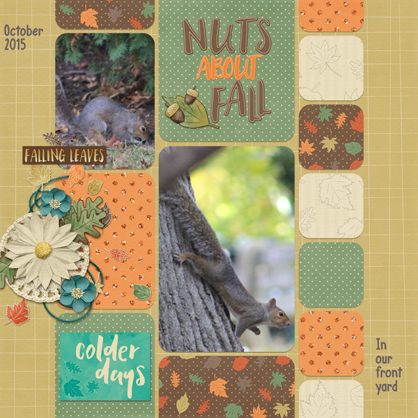 Nuts about Fall