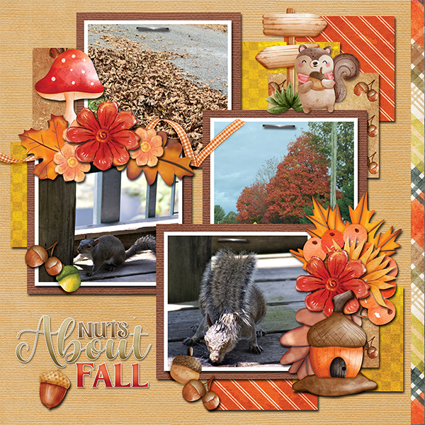 Nuts About Fall