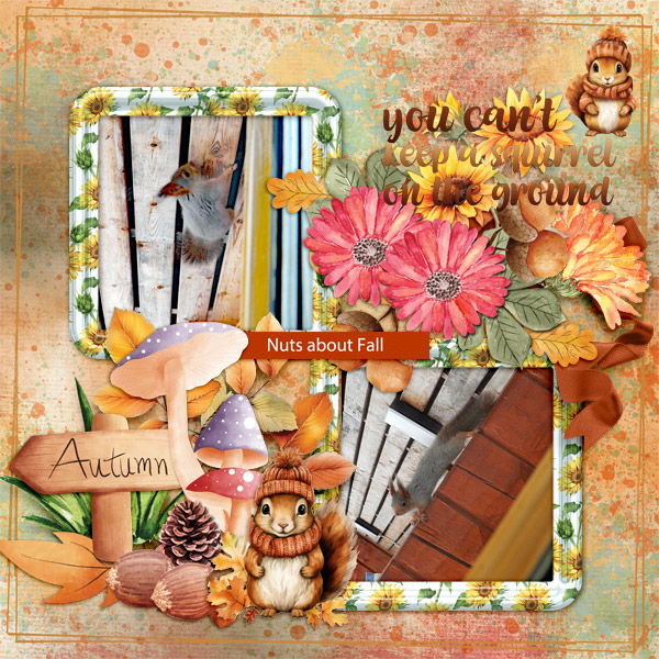 Nuts-about-fall1