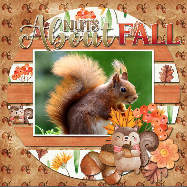 Nuts for Squirrels