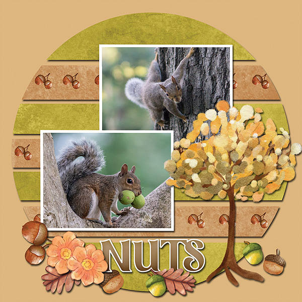 Nuts