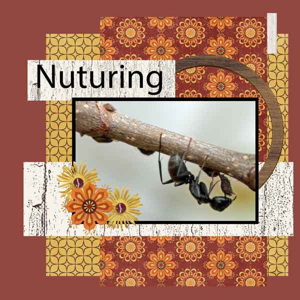 Nuturing