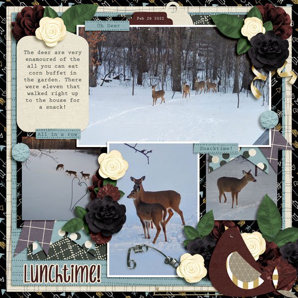O Deer
