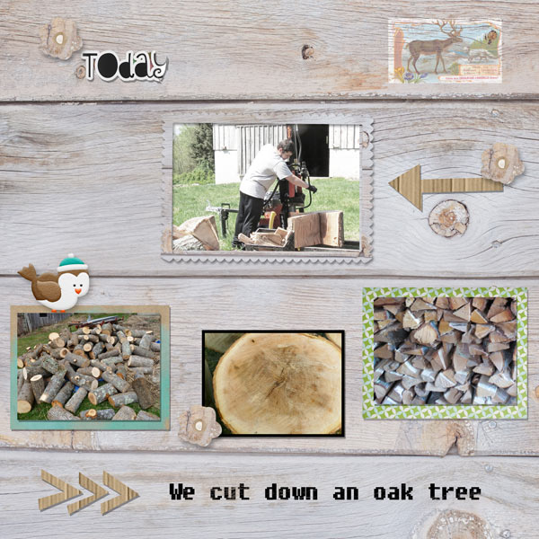 Oak Tree