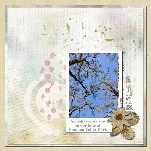 Oak Tree