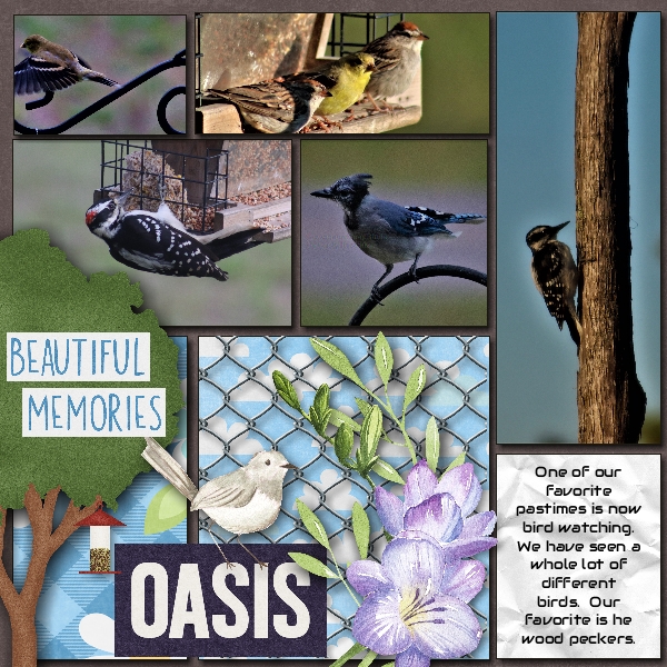 Oasis