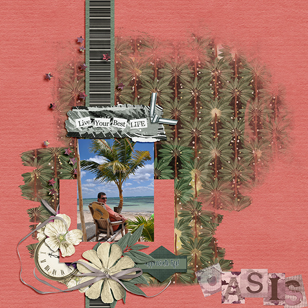 Oasis