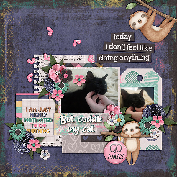 obers-kitten