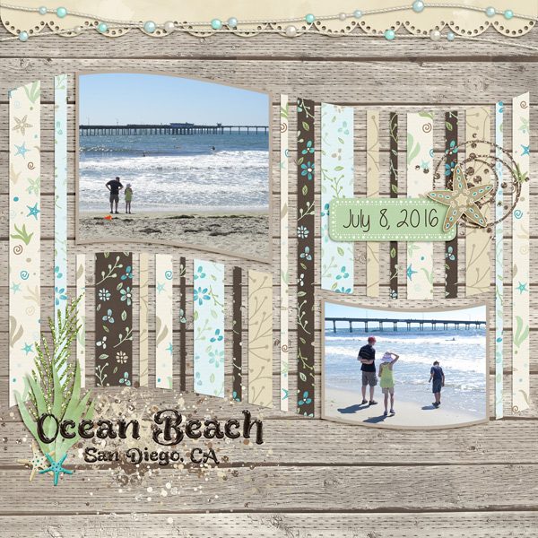 Ocean Beach