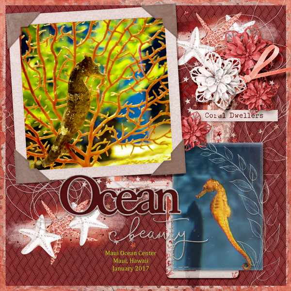 Ocean Beauty - Maui Aquarium