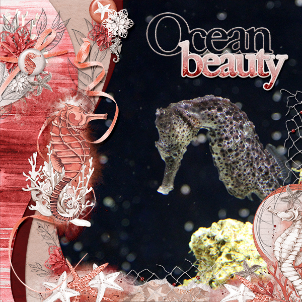 Ocean beauty
