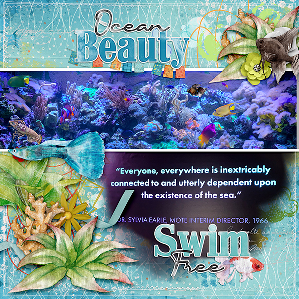 Ocean Beauty