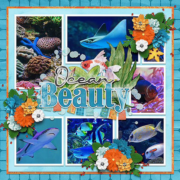 ocean beauty