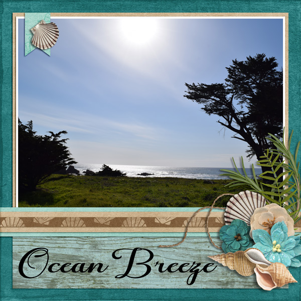 ocean breeze