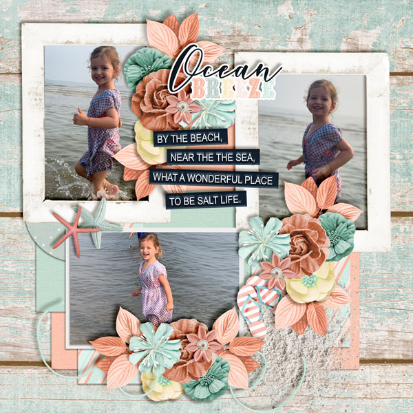 Ocean-Breeze6