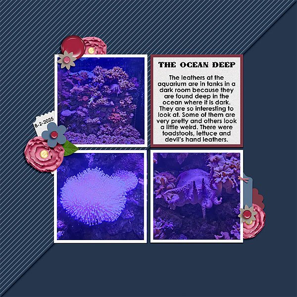Ocean Deep web.jpg
