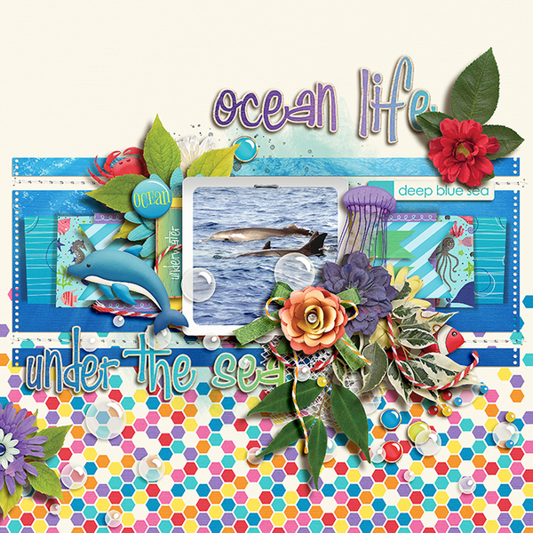Ocean life