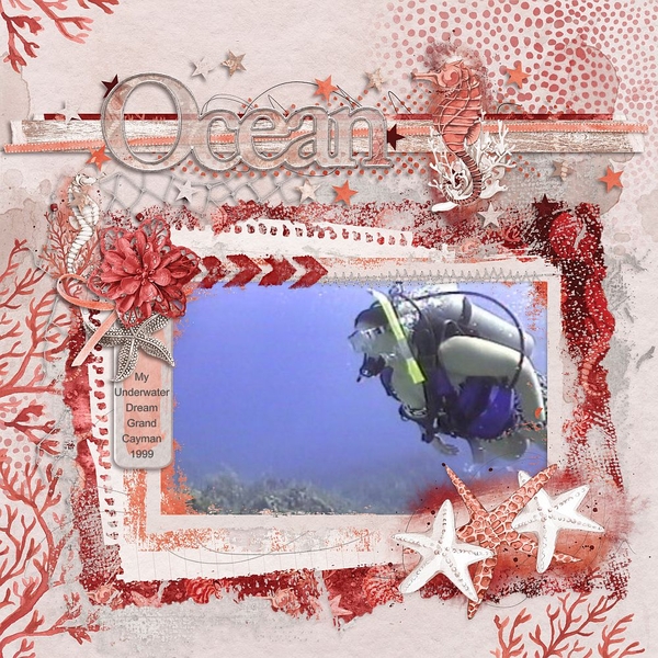Ocean My Underwater Dream