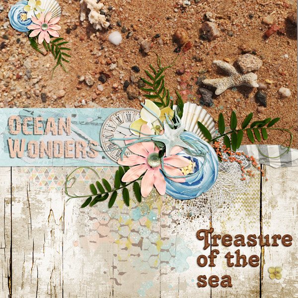 ocean treasures