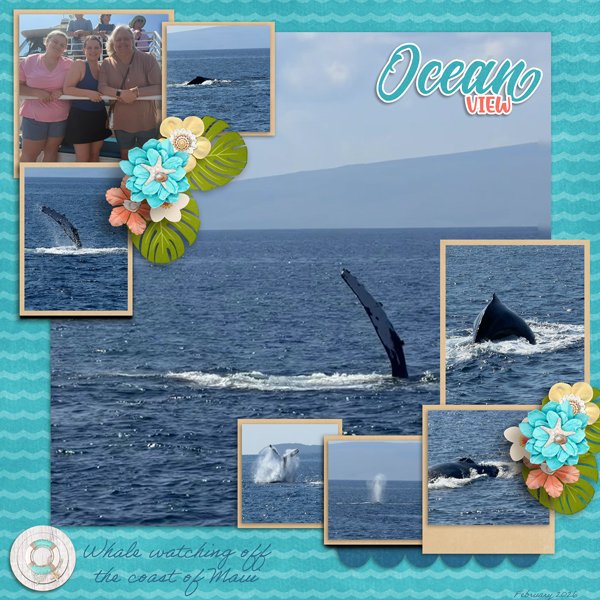 Ocean-View-web.jpg