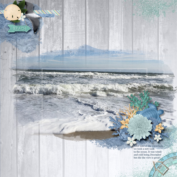 Ocean Waves