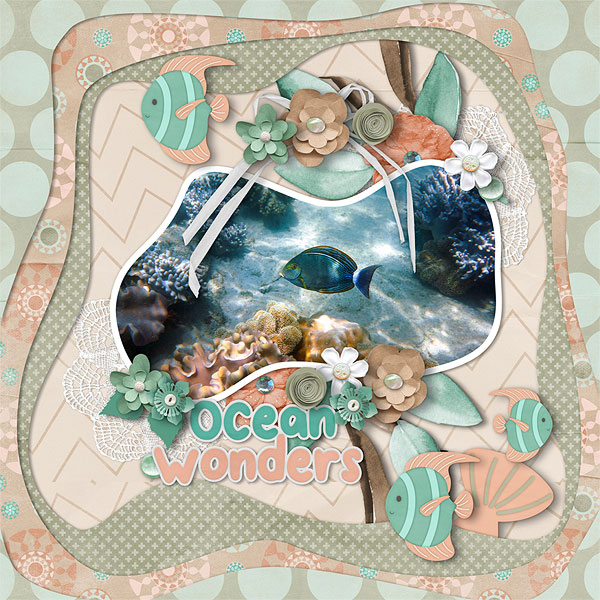 Ocean Wonders