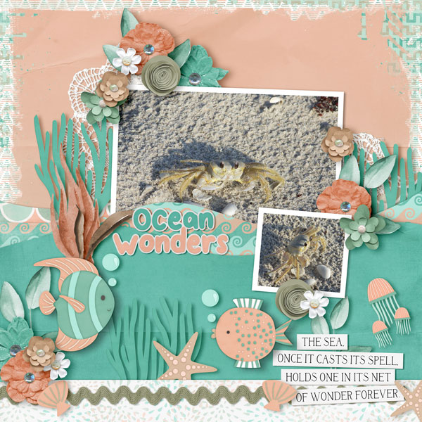 Ocean Wonders