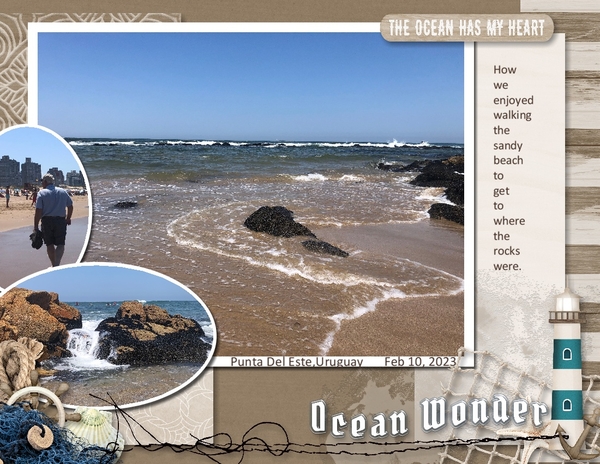 Ocean Wonders