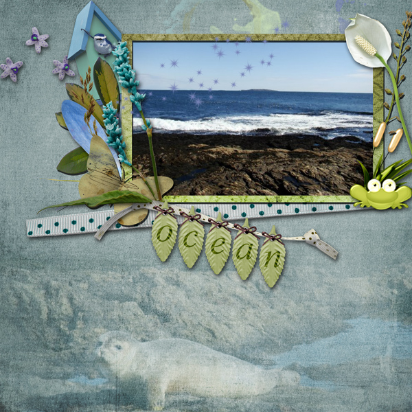 Ocean