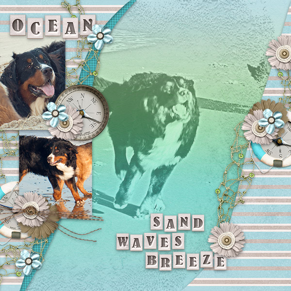 Ocean ~