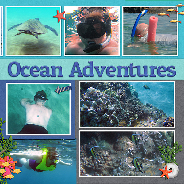 OceanAdventures2_DFD_Assemble1