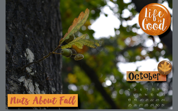 Oct 2015 Desktop