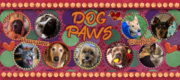 Oct 2020 FB Group Banner