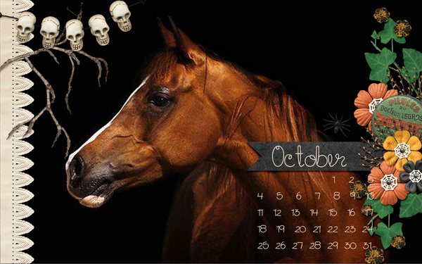 Oct Desktop