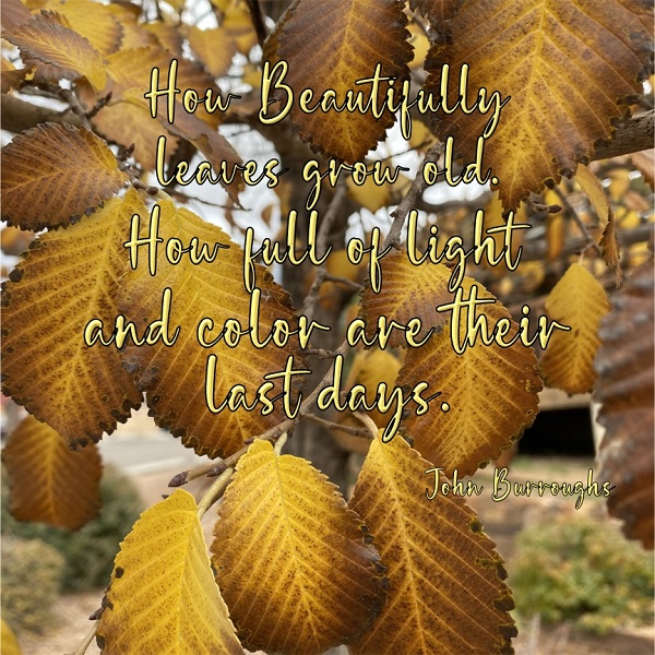Oct22 Inspiration