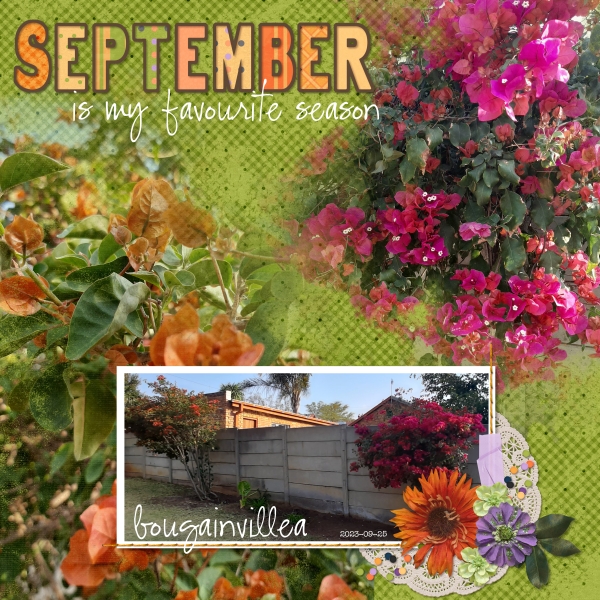 Oct23 Memory Mixup