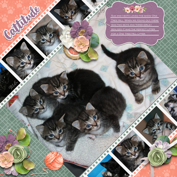 October 2021 Template Bundle - Cattitude