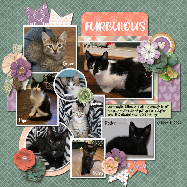 October 2022 Template Bundle - Cattitude