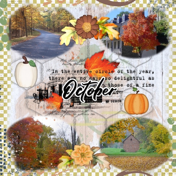 October 2024 Surprise Challenge