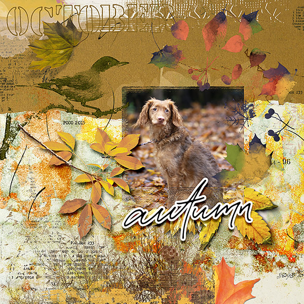 October Autumn