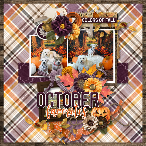 October Favorites
