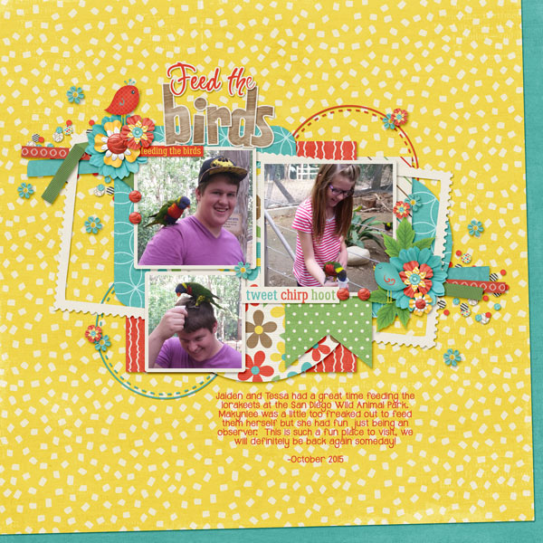 October-Lorakeets2WEB