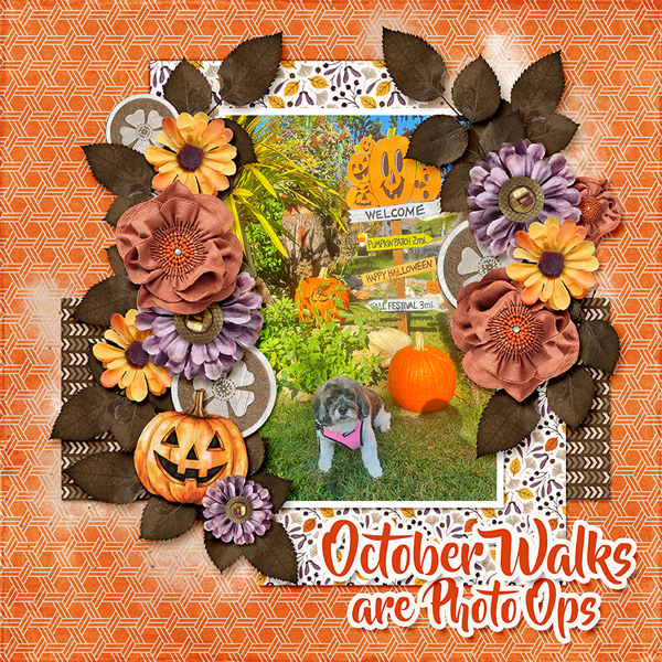October Walks