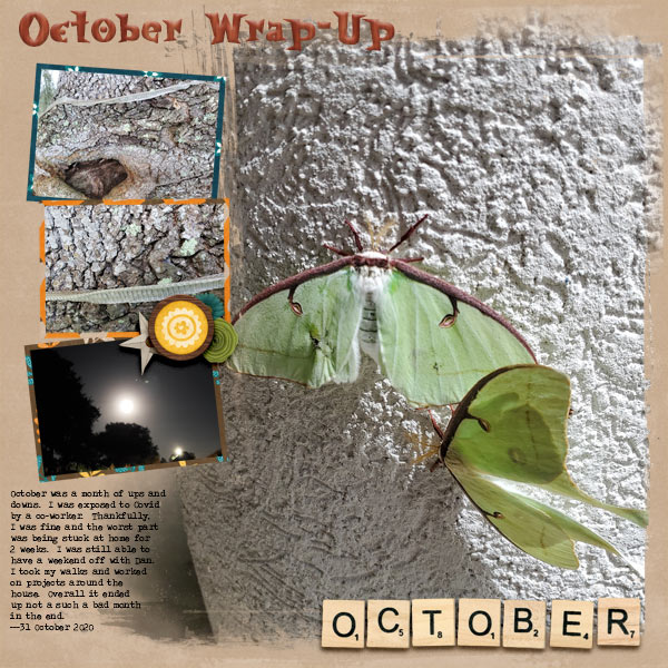 October Wrap Up